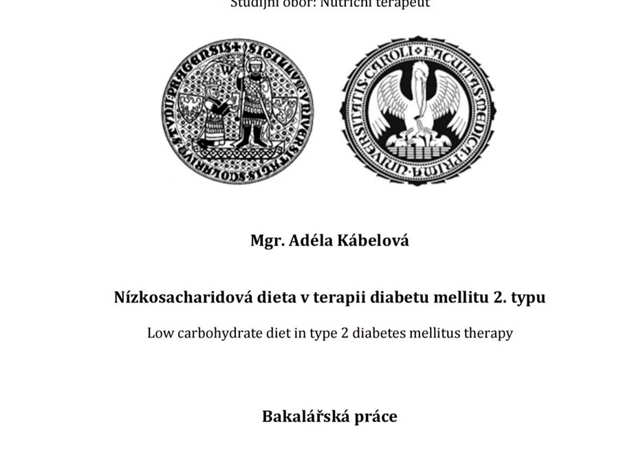 Kábelová (2018) Nízkosacharidová dieta v terapii diabetu mellitu 2. typu – bakalářská práce