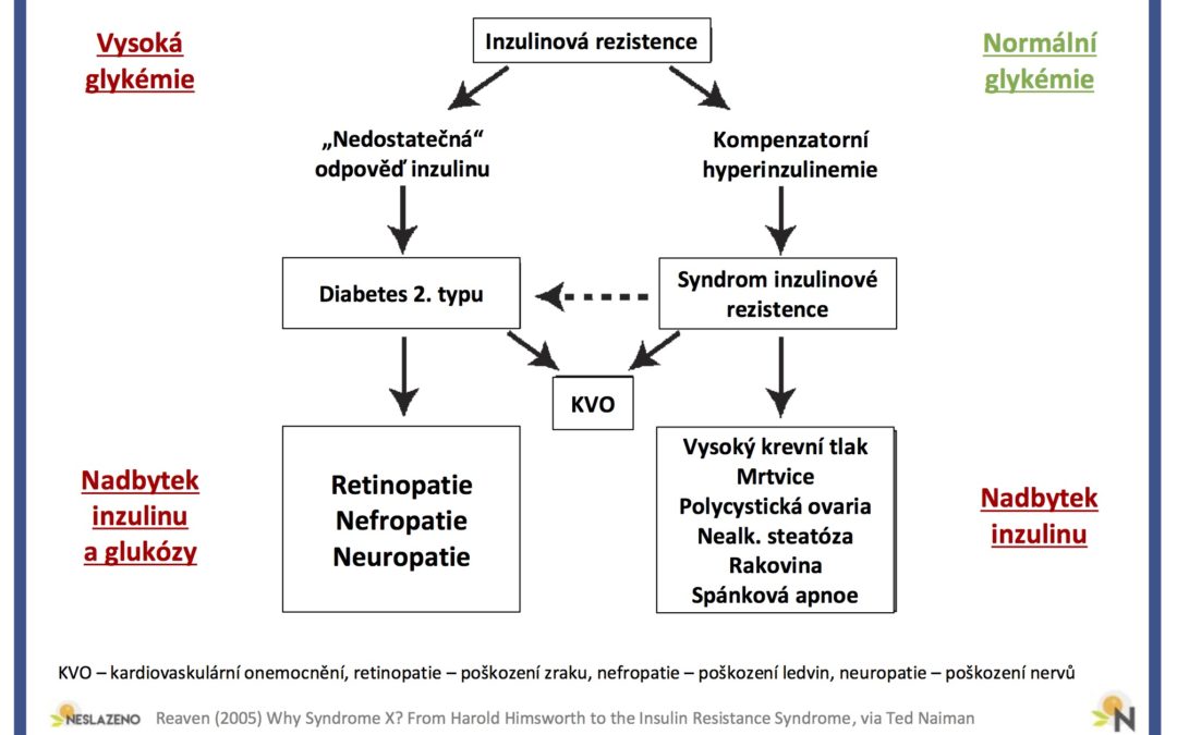 Reaven (2005) Proč Syndrom X? Od Harolda Himswortha až k syndromu inzulinové rezistence
