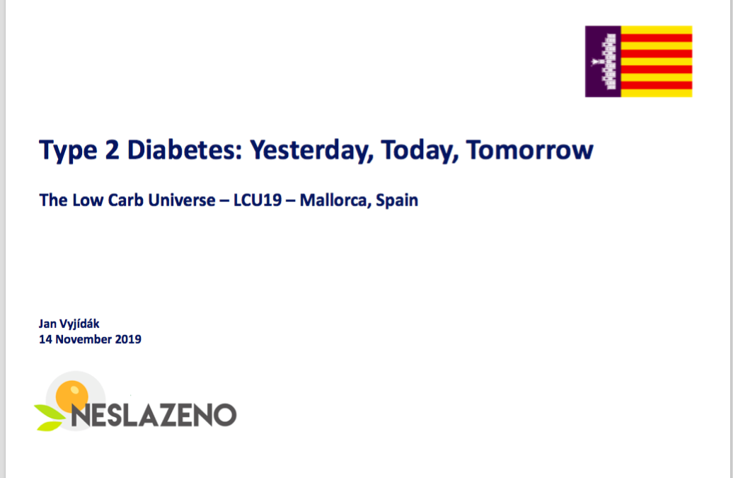 Vyjídák (2019) Type 2 Diabetes – Yesterday, Today, Tomorrow